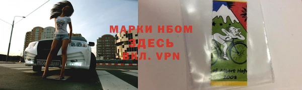 твердый Надым