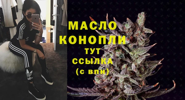 твердый Надым