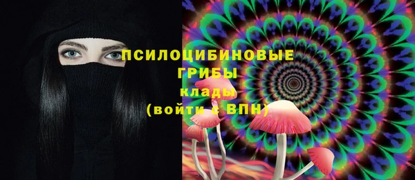 твердый Надым