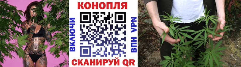 Конопля сатива  где купить наркоту  blacksprut ссылка  Палласовка 